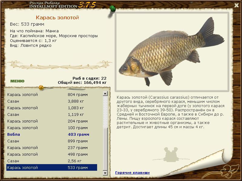 Морские просторы 
