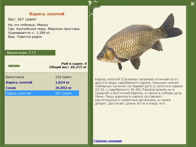 РУССКАЯ РЫБАЛКА Installsoft Edition 