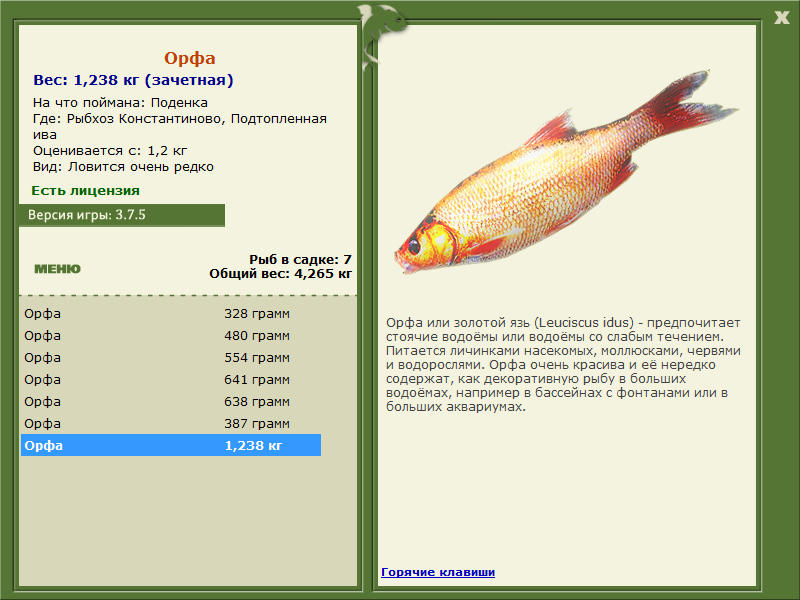 Подтопленная ива 