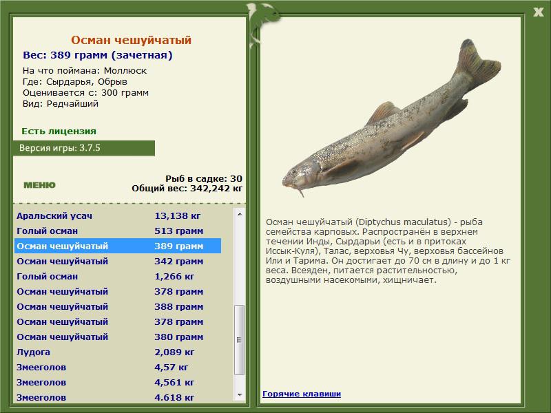 Сырдарья 