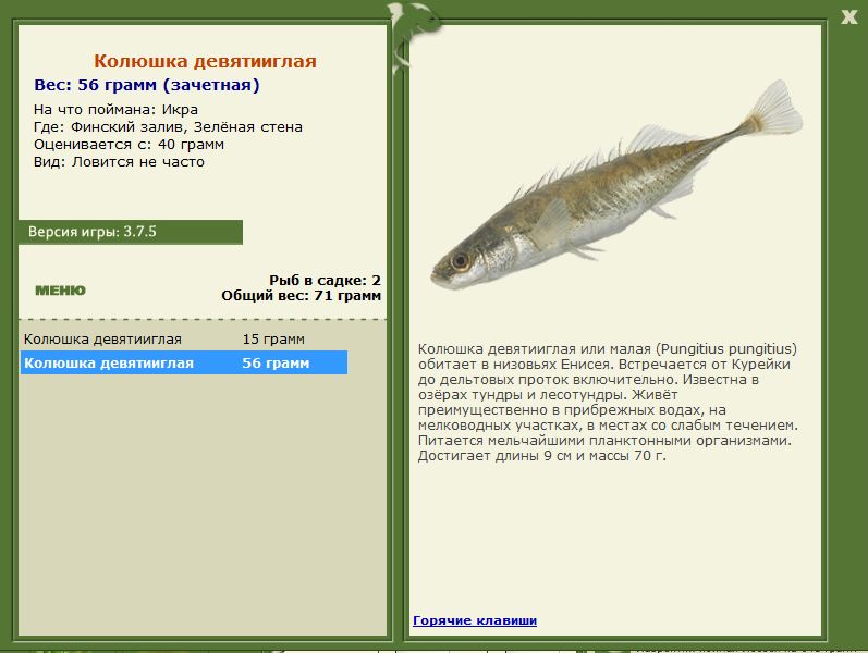 РУССКАЯ РЫБАЛКА Installsoft Edition 