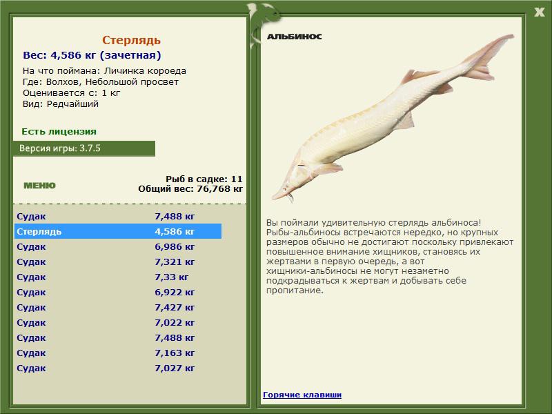 Небольшой просвет 