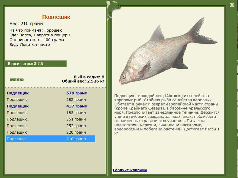 РУССКАЯ РЫБАЛКА Installsoft Edition 