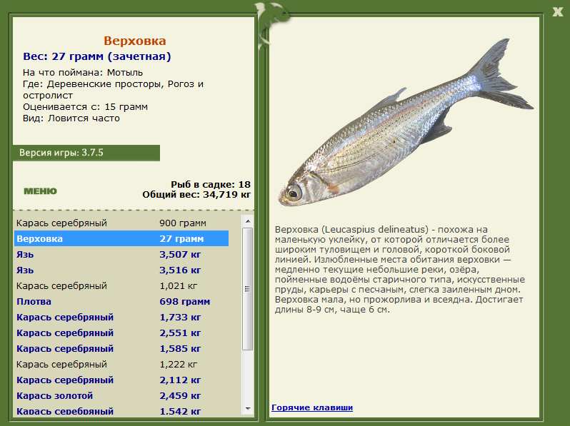 Деревенские просторы 
