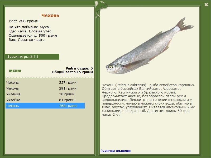 РУССКАЯ РЫБАЛКА Installsoft Edition 