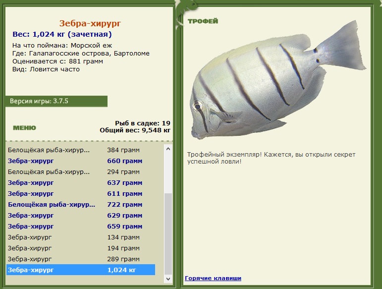 хирург • Рыбы • РУССКАЯ РЫБАЛКА