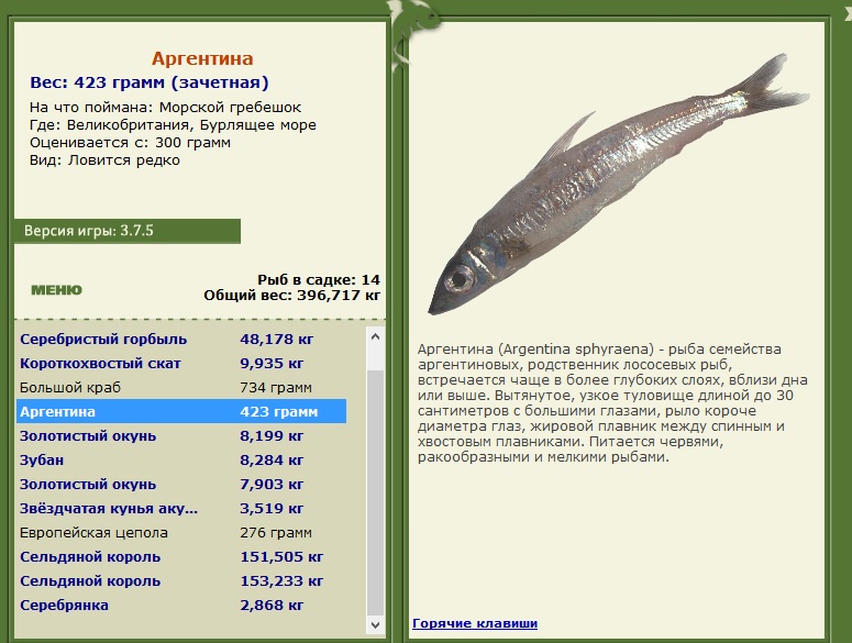 Бурлящее море 