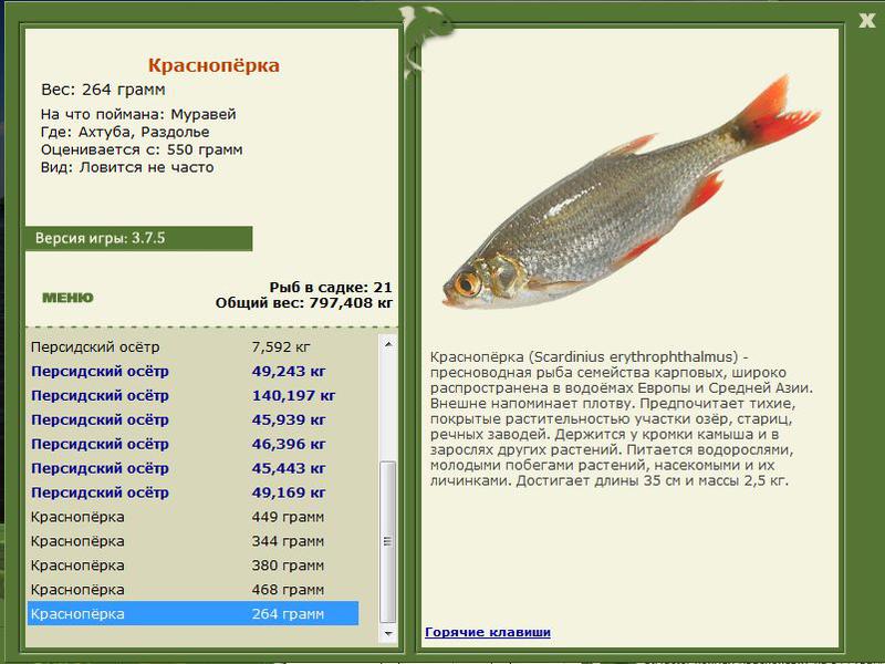 РУССКАЯ РЫБАЛКА Installsoft Edition 