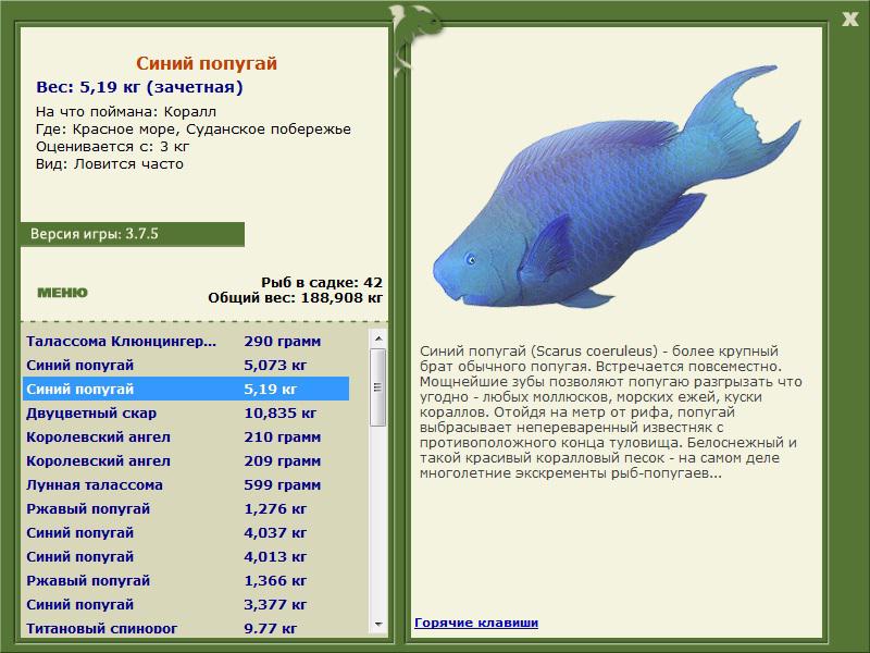 Красное море 