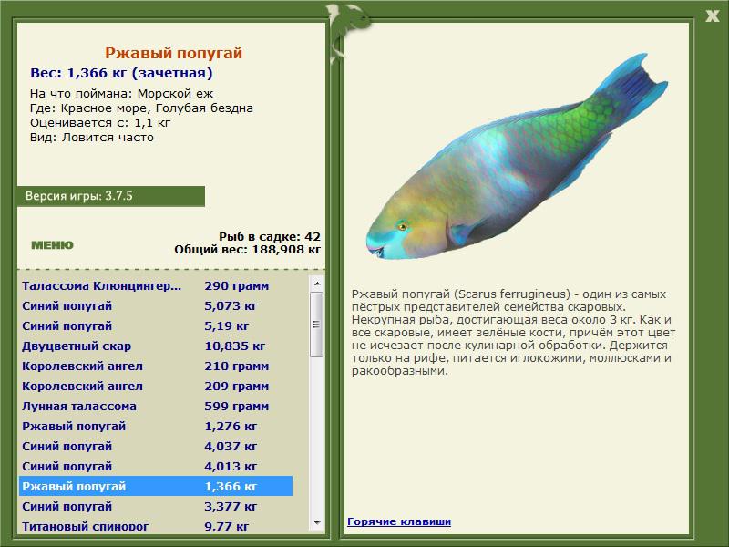 Красное море 