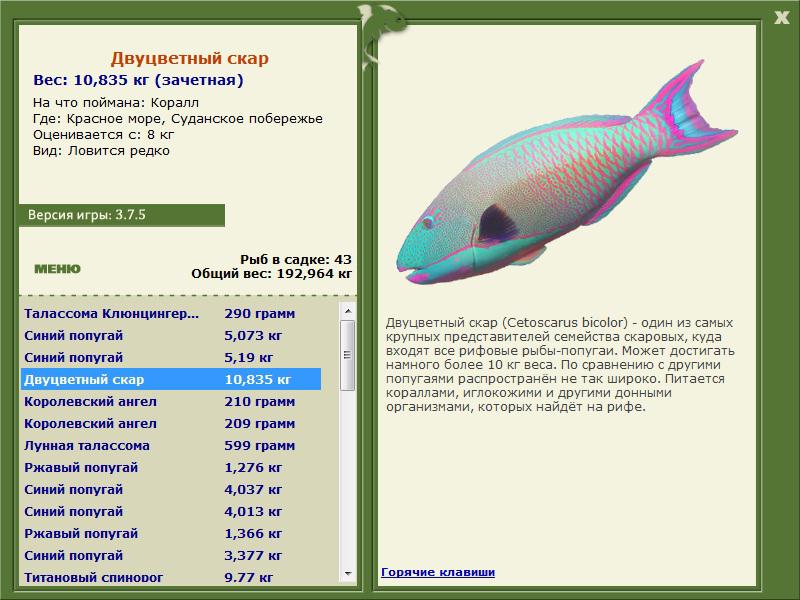 Красное море 