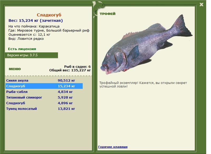Сладкогуб 