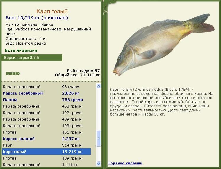 турниры • РУССКАЯ РЫБАЛКА