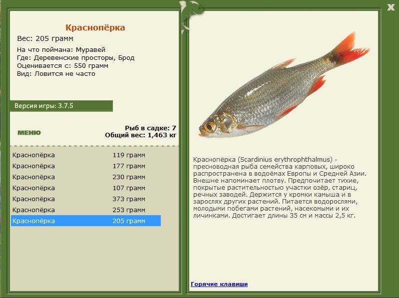 РУССКАЯ РЫБАЛКА Installsoft Edition 
