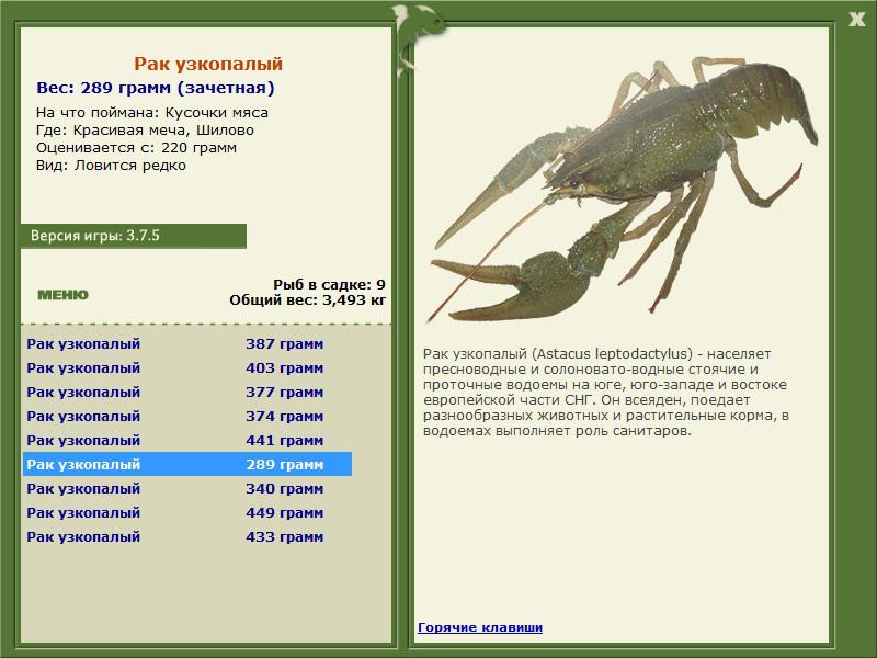 Санаторий 