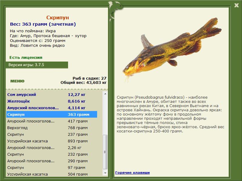  хутор • Амур • РУССКАЯ РЫБАЛКА
