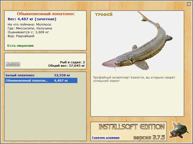 Излучина 