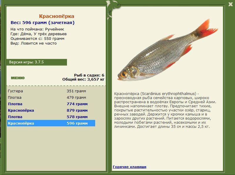РУССКАЯ РЫБАЛКА Installsoft Edition 