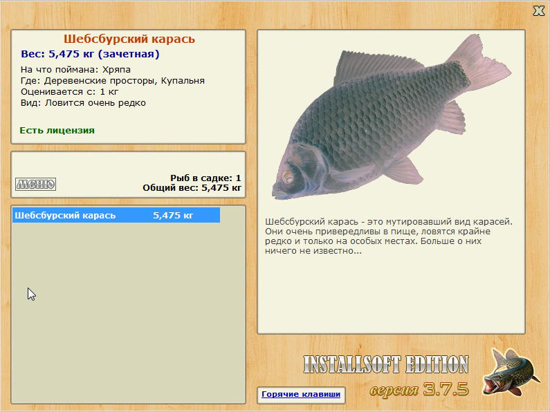 Шебсбурский карась 