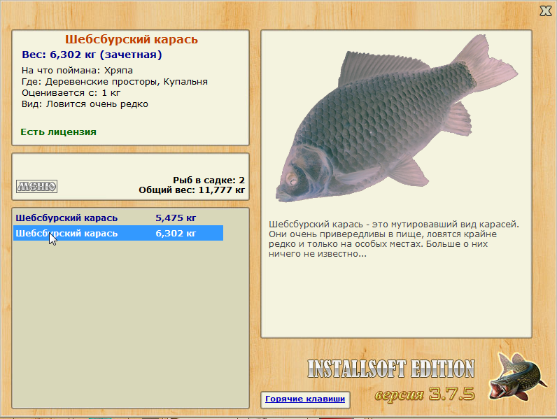 Шебсбурский карась 