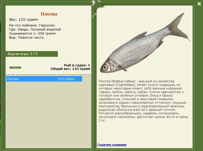 РУССКАЯ РЫБАЛКА Installsoft Edition 