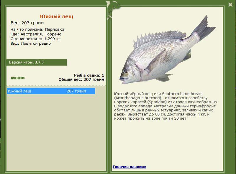 РУССКАЯ РЫБАЛКА Installsoft Edition 