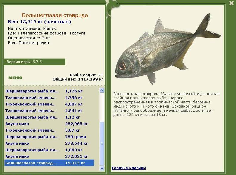 турниры • РУССКАЯ РЫБАЛКА