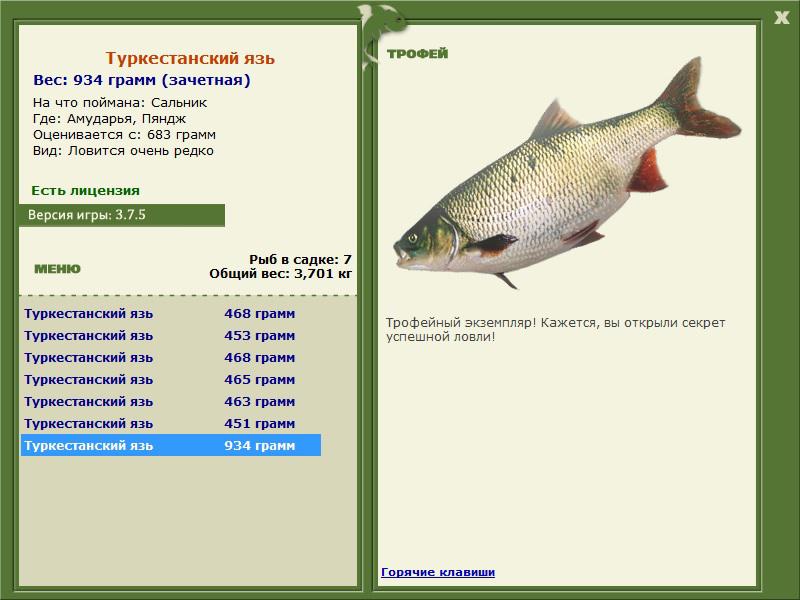 Пяндж 