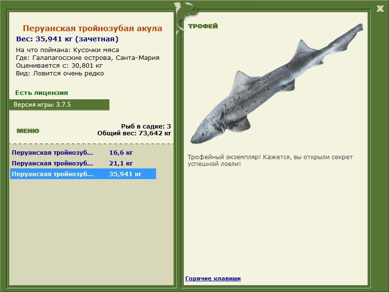 Перуанская тройнозубая акула 
