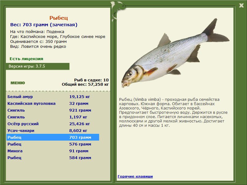 Каспийское море 