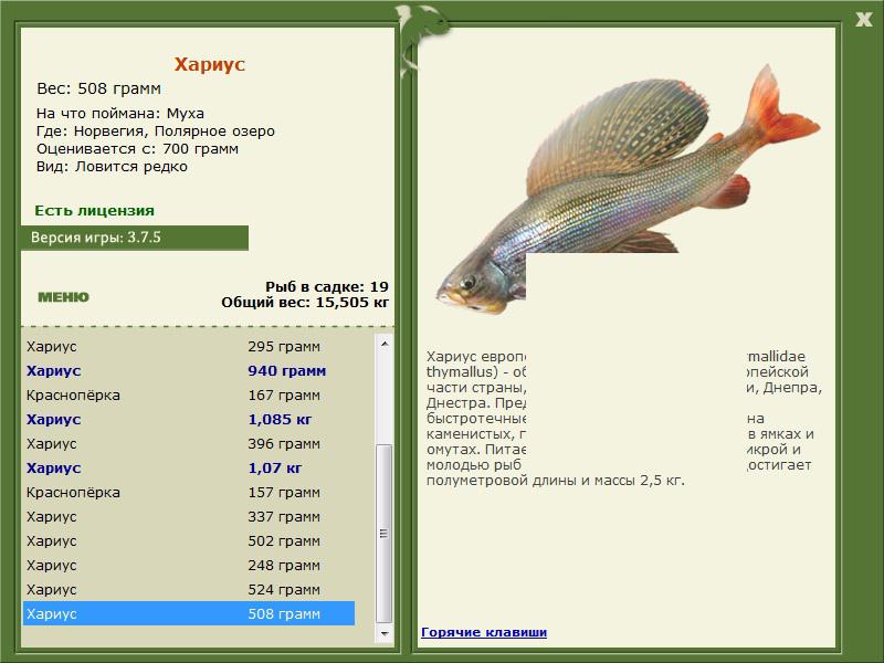 турниры • РУССКАЯ РЫБАЛКА