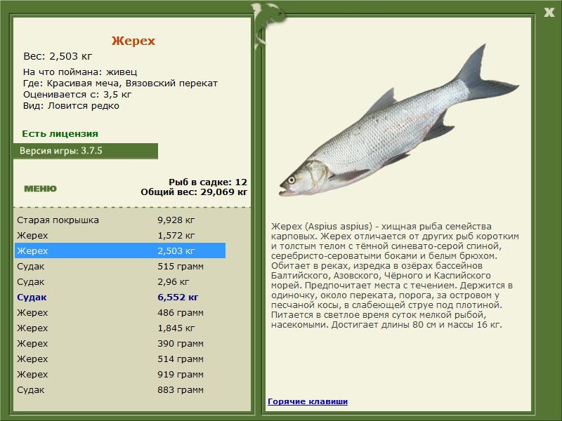 РУССКАЯ РЫБАЛКА Installsoft Edition 