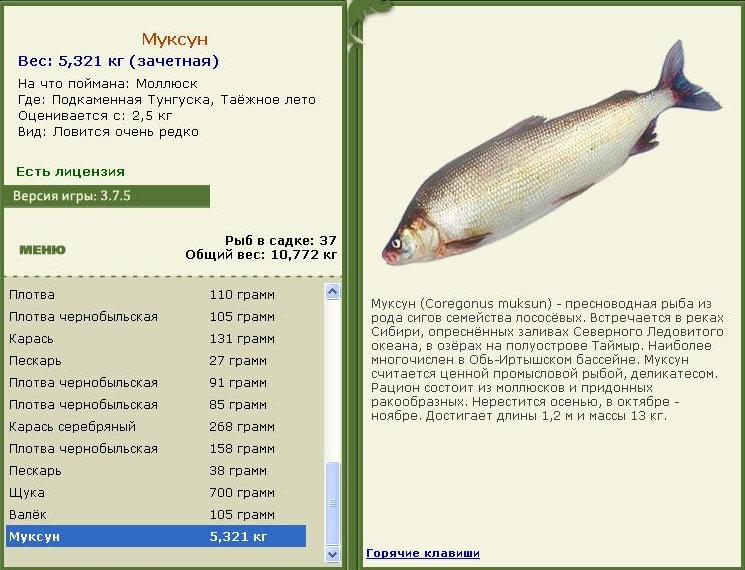 турниры • РУССКАЯ РЫБАЛКА