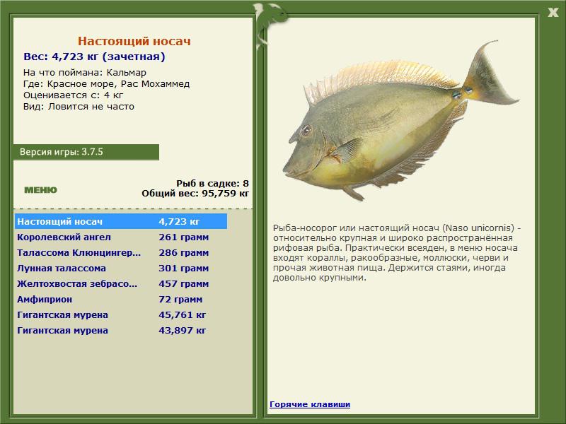 Красное море 