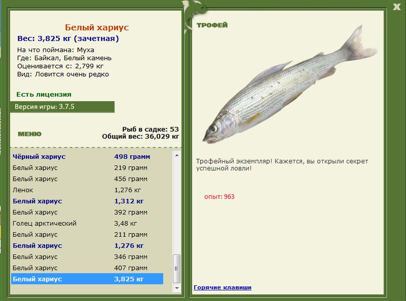 Белый камень 