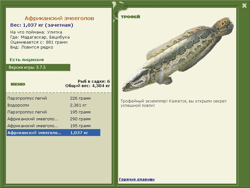 Африканский змееголов 