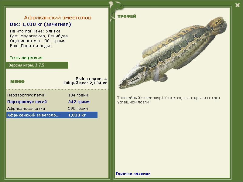 Африканский змееголов 