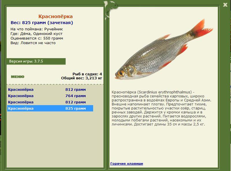 РУССКАЯ РЫБАЛКА Installsoft Edition 