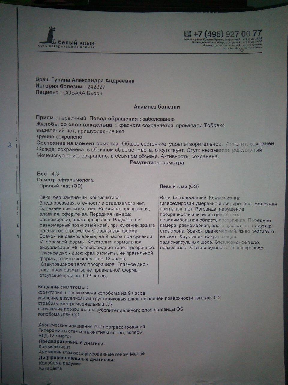 Изображение