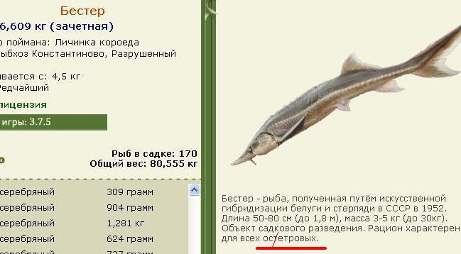 Баги и глюки 