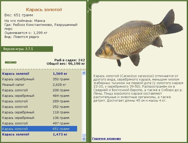 Разрушенный пирс 
