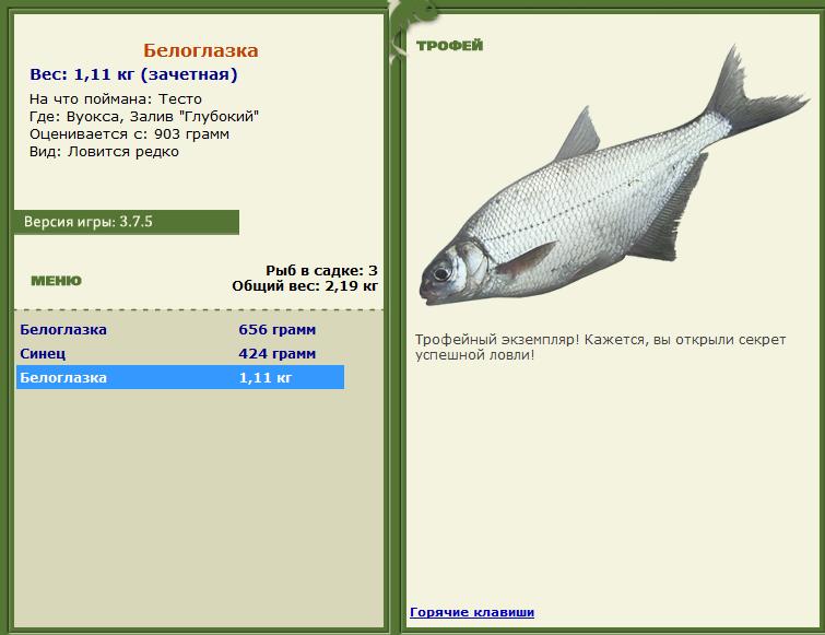 Белоглазка 