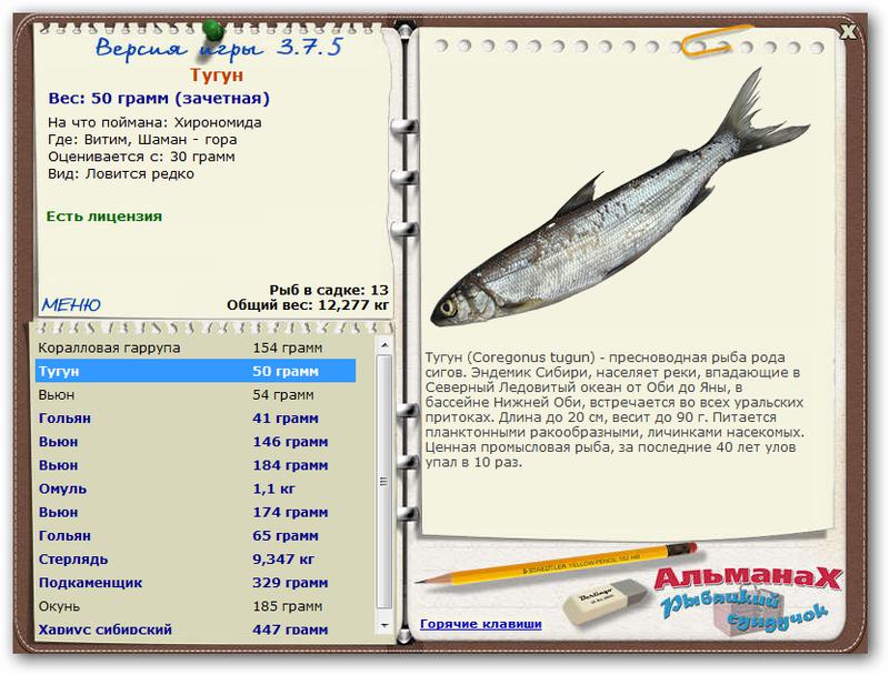 Витим 