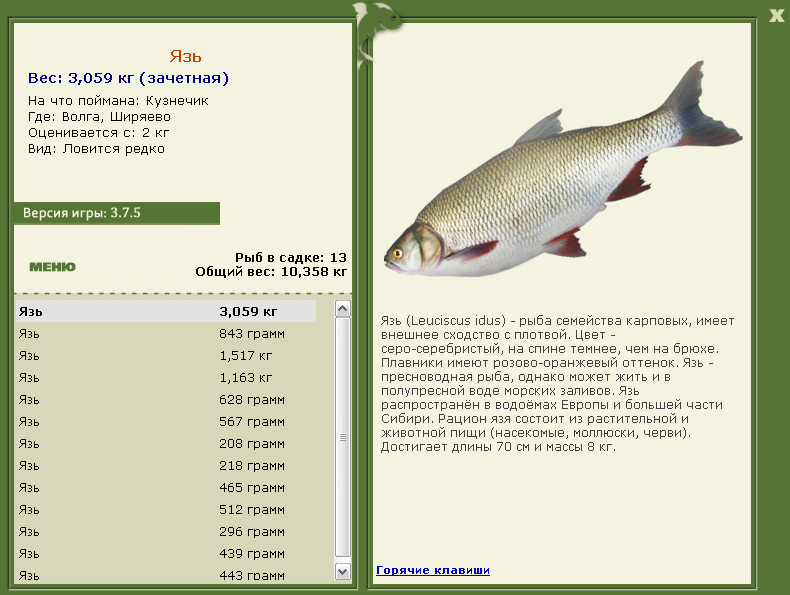 РУССКАЯ РЫБАЛКА Installsoft Edition 