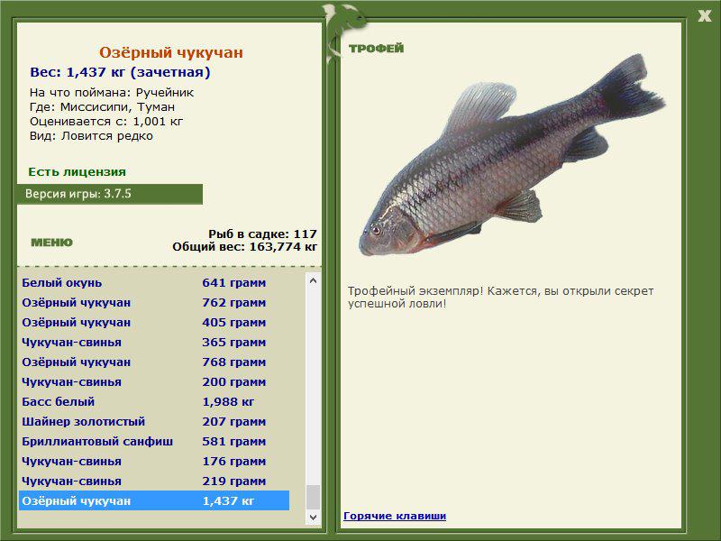 Озёрный чукучан 