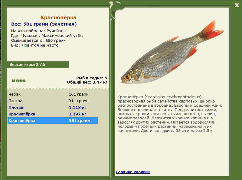 РУССКАЯ РЫБАЛКА Installsoft Edition 