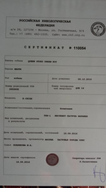Изображение