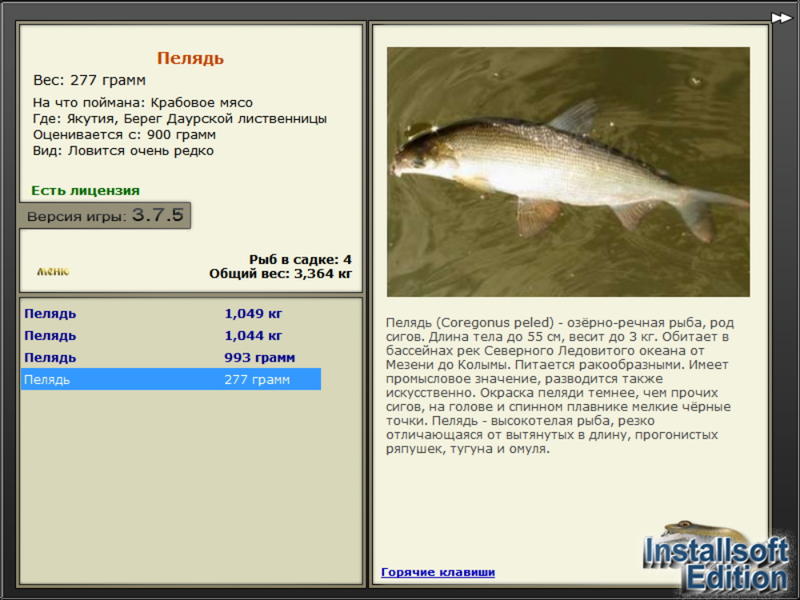 турниры • РУССКАЯ РЫБАЛКА