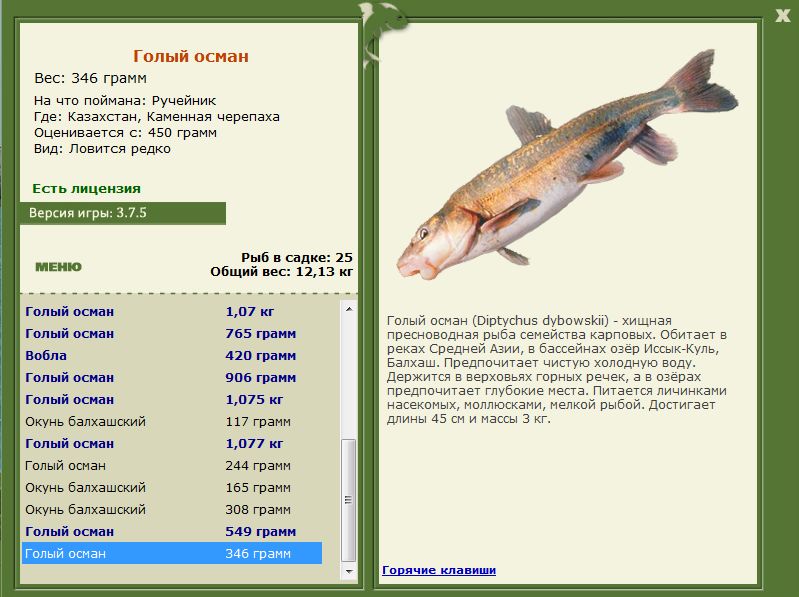 РУССКАЯ РЫБАЛКА Installsoft Edition 