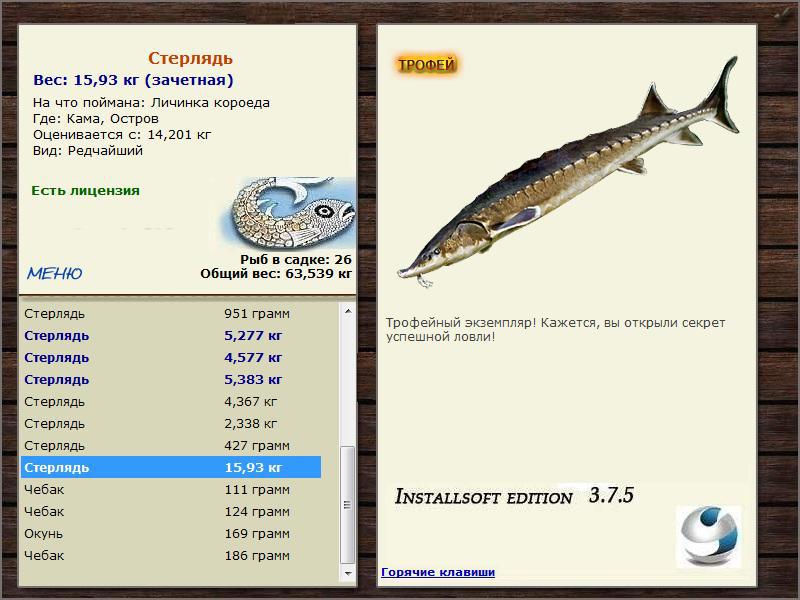 Остров 